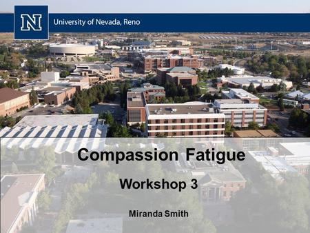 Compassion Fatigue Workshop 3 Miranda Smith. Review Group / Organizational Coping Strategies Cases Questions Survey