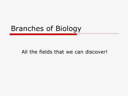 Branches of Biology All the fields that we can discover!