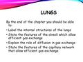 LUNGS By the end of the chapter you should be able to: Label the internal structures of the lungs State the features of the alveoli which allow efficient.