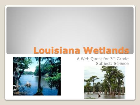 Louisiana Wetlands A Web Quest for 3 rd Grade Subject: Science.