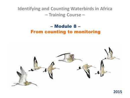 – Module 8 – From counting to monitoring Identifying and Counting Waterbirds in Africa – Training Course – 1 2015.