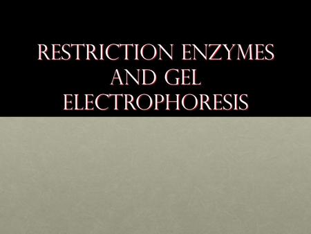 Restriction Enzymes and Gel Electrophoresis. What is a Palindrome? A palindrome is anything that reads the same forwards and backwards: A palindrome is.