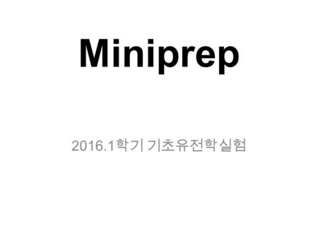 Miniprep 2016.1학기 기초유전학실험.