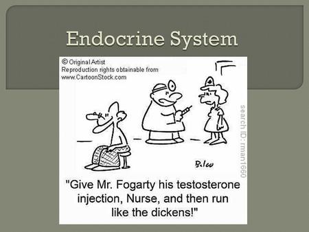  Glands release products  Products (hormones) broadcast information throughout body  Slower response(than nervous system) but lasts longer.