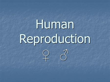 Human Reproduction ♀ ♂. Let’s Talk About Sex (Organs, that is!)