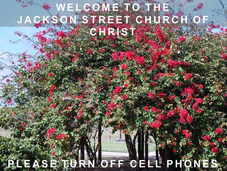 WELCOME TO THE JACKSON STREET CHURCH OF CHRIST PLEASE TURN OFF CELL PHONES.