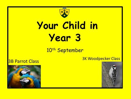 Your Child in Year 3 10 th September 3B Parrot Class 3K Woodpecker Class.