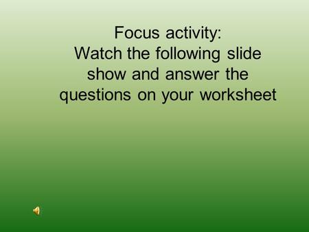 Focus activity: Watch the following slide show and answer the questions on your worksheet.