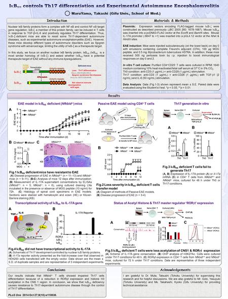 Nuclear IκB family proteins form a complex with NF-κB and control NF-κB target gene regulation. IκB-ζ, a member of this protein family, can be induced.