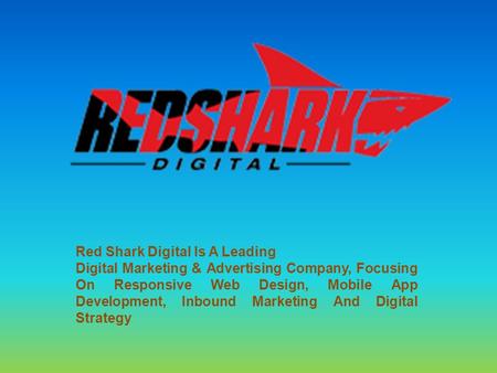 Graphic Design Greenville NC - Red Shark Digital