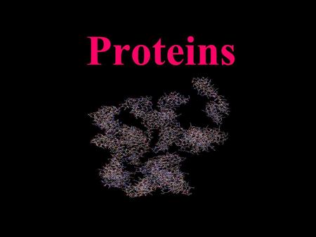 Proteins. Protein (from the Greek protas meaning of primary importance) is a complex, high-molecular-weight organic compound that consists of amino.