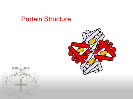 Protein Structure.