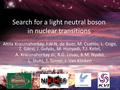 Search for a light neutral boson in nuclear transitions