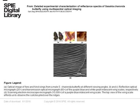 Date of download: 6/1/2016 Copyright © 2016 SPIE. All rights reserved. (a) Optical image of fore and hind wings from a male S. charonda butterfly at different.