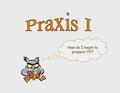 How do I begin to prepare ????. Why Praxis ?? 35 states in US currently use Praxis for assessment purposes in CT - used for assessing skills of future.