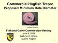 Commercial Hagfish Traps: Proposed Minimum Hole Diameter