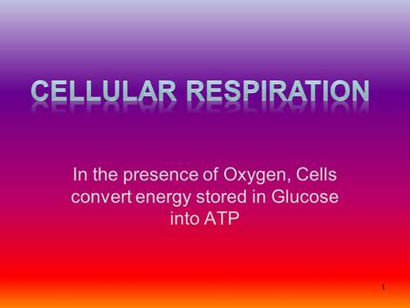 In the presence of Oxygen, Cells convert energy stored in Glucose into ATP 1.