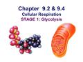 Chapter 9.2 & 9.4 Cellular Respiration STAGE 1: Glycolysis.