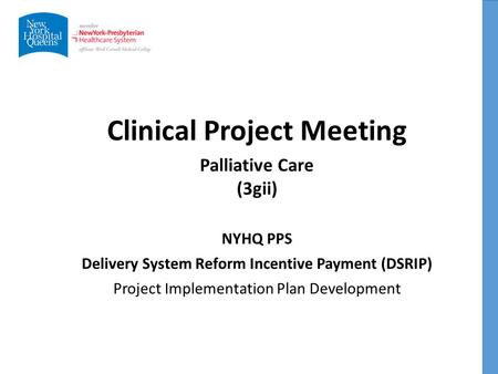 Clinical Project Meeting NYHQ PPS Delivery System Reform Incentive Payment (DSRIP) Project Implementation Plan Development Palliative Care (3gii)