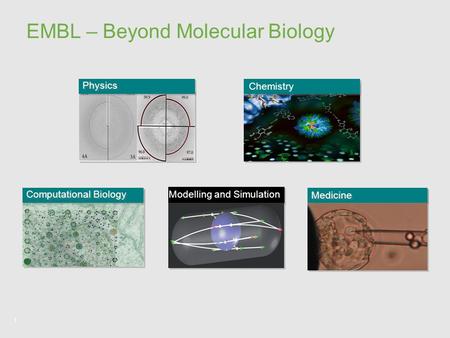 1 Modelling and Simulation EMBL – Beyond Molecular Biology Physics Computational Biology Chemistry Medicine.