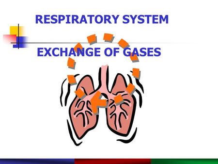 Copyright © 2003 Pearson Education, Inc. publishing as Benjamin Cummings. RESPIRATORY SYSTEM PowerPoint ® Lecture Slide Presentation by Robert J. Sullivan,