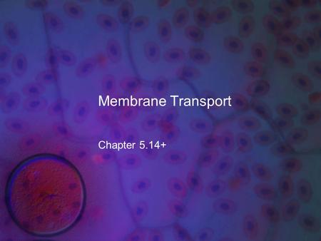 Membrane Transport Chapter 5.14+. What you need to know! The role of diffusion (osmosis), active transport, and bulk flow in the movement of water and.