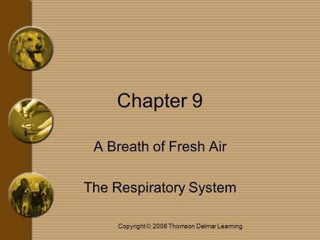 Copyright © 2006 Thomson Delmar Learning Chapter 9 A Breath of Fresh Air The Respiratory System.