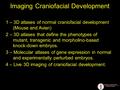 1 – 3D atlases of normal craniofacial development (Mouse and Avian) 2 – 3D atlases that define the phenotypes of mutant, transgenic and morpholino-based.