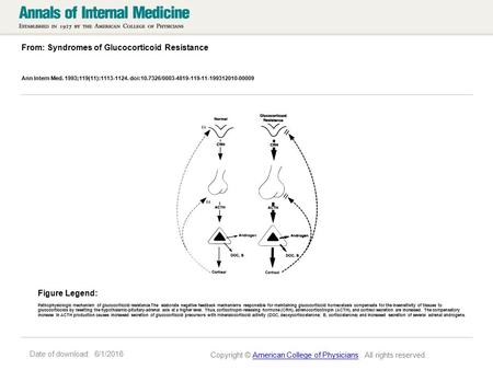 Date of download: 6/1/2016 From: Syndromes of Glucocorticoid Resistance Ann Intern Med. 1993;119(11):1113-1124. doi:10.7326/0003-4819-119-11-199312010-00009.