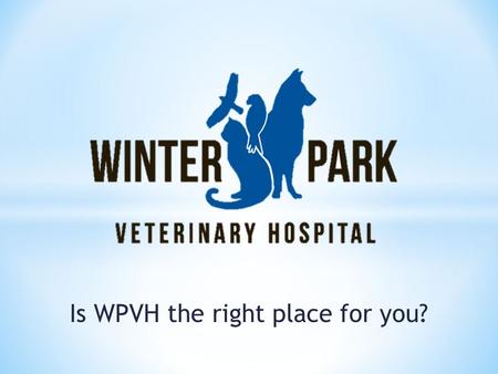 Is WPVH the right place for you?. This could be the start of a fantastic career in medicine. WPVH has been providing the highest quality veterinary care.