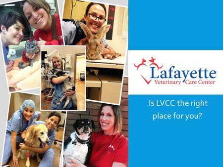 Is LVCC the right place for you?. THE FUNDAMENTALS OF A CAREER AT LVCC Whether you are looking to transition into a position with LVCC from another veterinary.