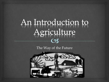 The Way of the Future.  So God Made a Farmer   Raised in Rifle, Colorado and Culver, Indiana  10 year 4-H member, with no FFA background  Sheep-10.