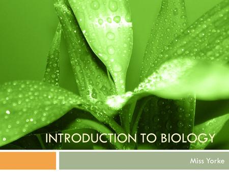 INTRODUCTION TO BIOLOGY Miss Yorke. What is Biology?  Make your own definition  Biology – The science of life and of living organisms, including their.