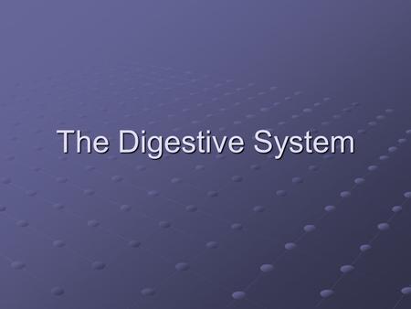 The Digestive System.