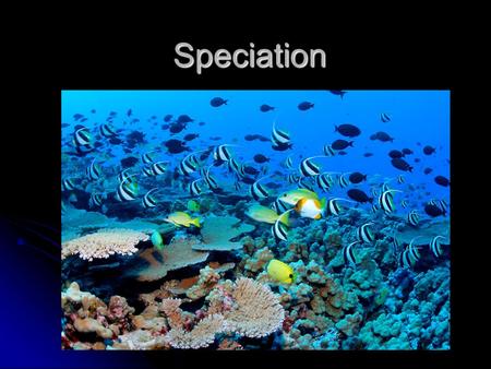 Speciation.