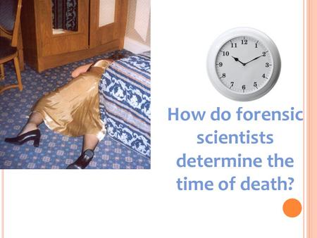 How do forensic scientists determine the time of death?