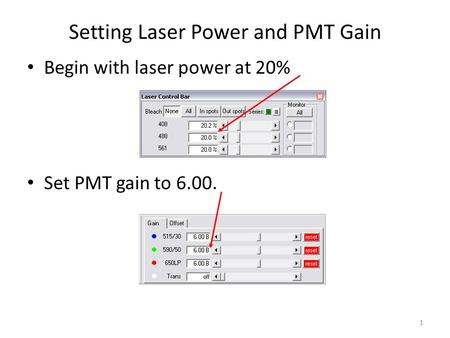 1 Setting Laser Power and PMT Gain Begin with laser power at 20% Set PMT gain to 6.00.