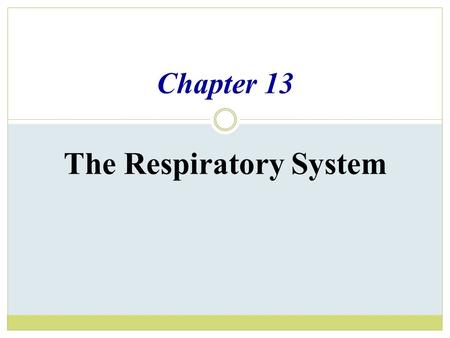 Chapter 13 The Respiratory System. Organs of the Respiratory system  Nose  Pharynx  Larynx  Trachea  Bronchi  Lungs – alveoli.