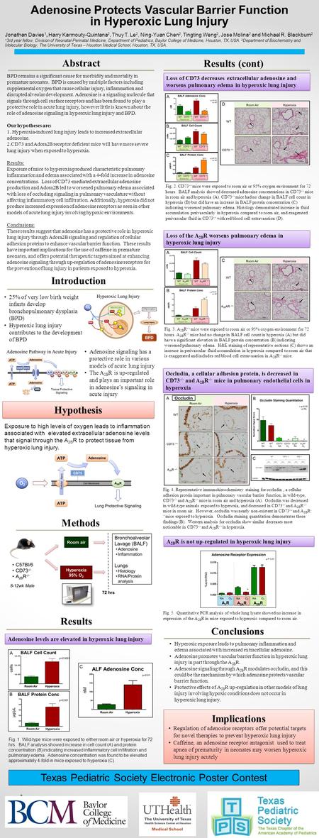 Adenosine Protects Vascular Barrier Function in Hyperoxic Lung Injury Jonathan Davies 1, Harry Karmouty-Quintana 2, Thuy T. Le 2, Ning-Yuan Chen 2, Tingting.