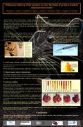 Pulmonary delivery of dry powders to rats: the limits of an intra-tracheal administration model J. Montharu 2, A. Guillon 1, V. Schubnel 2, G. Roseau 2,