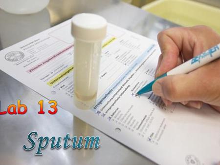  Sputum is a secretion produced in the lungs and the bronchi (tubes that carry the air to the lung).  This mucus-like secretion may become infected,