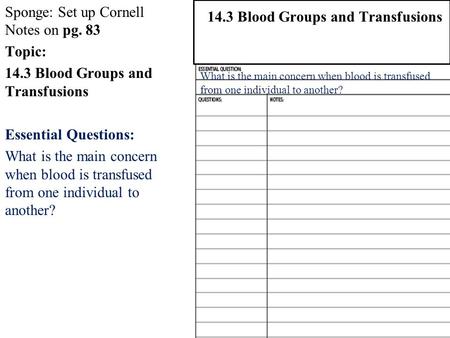 Sponge: Set up Cornell Notes on pg. 83 Topic: 14.3 Blood Groups and Transfusions Essential Questions: What is the main concern when blood is transfused.