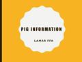 PIG INFORMATION LAMAR FFA. IMPORTANT INFORMATION How to contact me –Cell Number- (979)203-3720 –Classroom number E205 – -