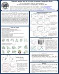 Molecular insights into the reversible formation of tau protein fibrils Yin Luo, a Paul Dinkel, b Xiang Yu, c Martin Margittai, b Jie Zheng, c Ruth Nussinov,