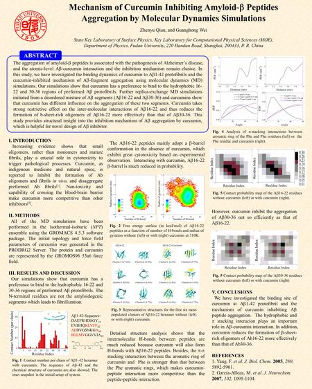 Mechanism of Curcumin Inhibiting Amyloid-  Peptides Aggregation by Molecular Dynamics Simulations Zhenyu Qian, and Guanghong Wei State Key Laboratory.