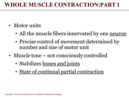 Copyright © 2004 Pearson Education, Inc., publishing as Benjamin Cummings WHOLE MUSCLE CONTRACTION:PART 1 Motor units All the muscle fibers innervated.