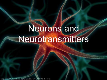 Neurons and Neurotransmitters. Nervous System –Central nervous system (CNS): Brain Spinal cord –Peripheral nervous system (PNS): Sensory neurons Motor.