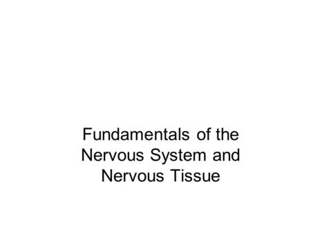 Fundamentals of the Nervous System and Nervous Tissue.