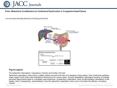 Date of download: 6/2/2016 Copyright © The American College of Cardiology. All rights reserved. From: Abdominal Contributions to Cardiorenal Dysfunction.