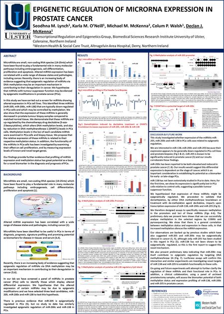 EPIGENETIC REGULATION OF MICRORNA EXPRESSION IN PROSTATE CANCER Seodhna M. Lynch 1, Karla M. O’Neill 1, Michael M. McKenna 2, Colum P. Walsh 1, Declan.